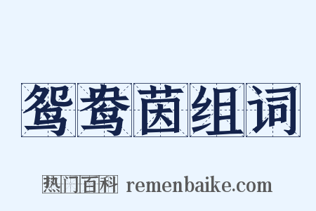 鸳鸯茵组词是什么意思的图片